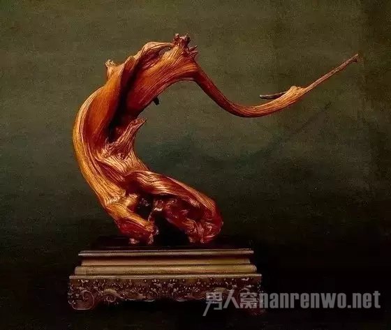 精品崖柏