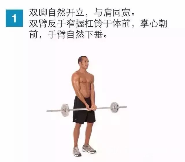 锻炼手臂肌肉