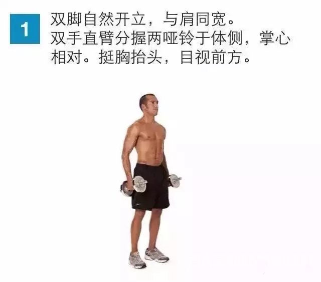 屈伸动作