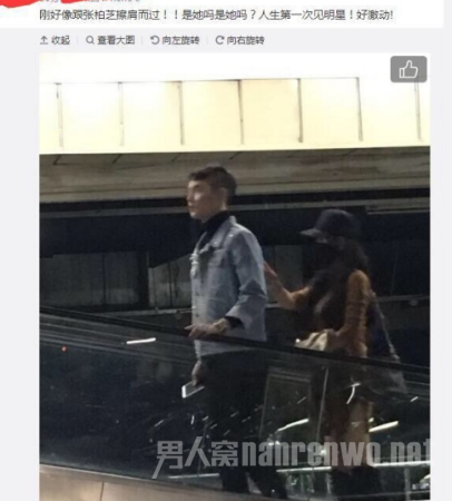 张柏芝谢霆锋复合了吗