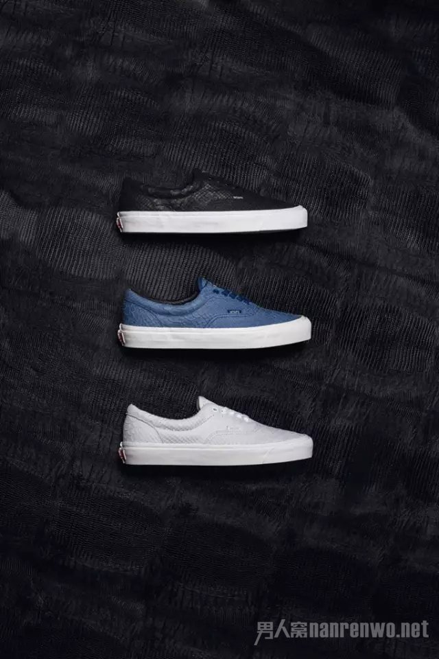 Vault by Vans