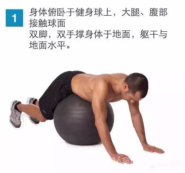 ֱȺ