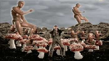 Go Go Dancing