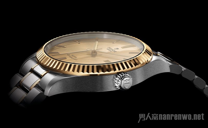 ۶(TUDOR STYLE)ϵ