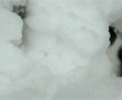 妈妈带我出来玩雪