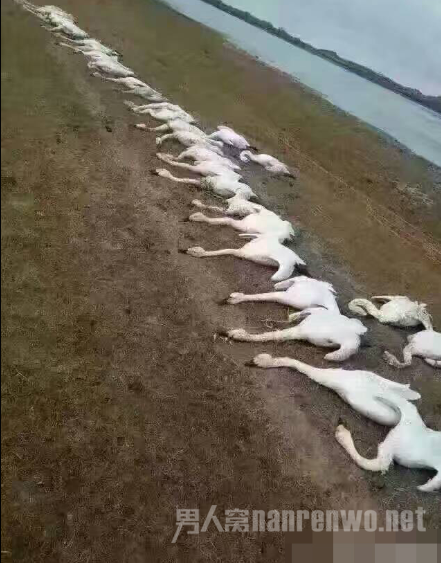 事发现场