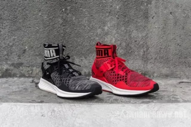 Puma Ignite evoKNIT