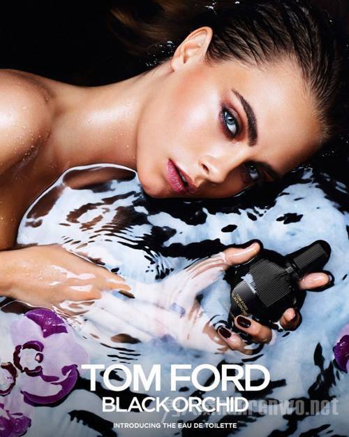Tom Ford Black Orchid