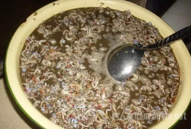 沙蟹
