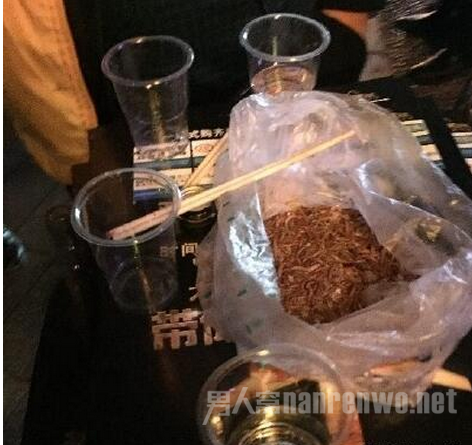 员工吃活面包虫