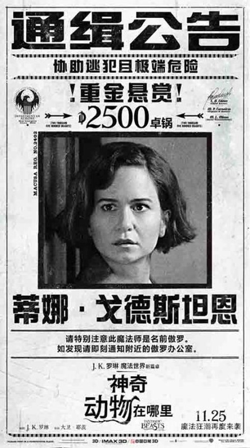 涯ͺ