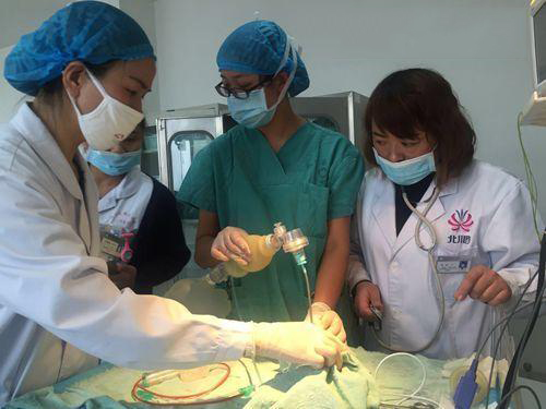 双胞胎早产女婴将被放弃治疗