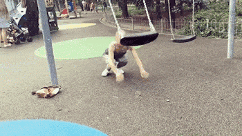 荡秋千