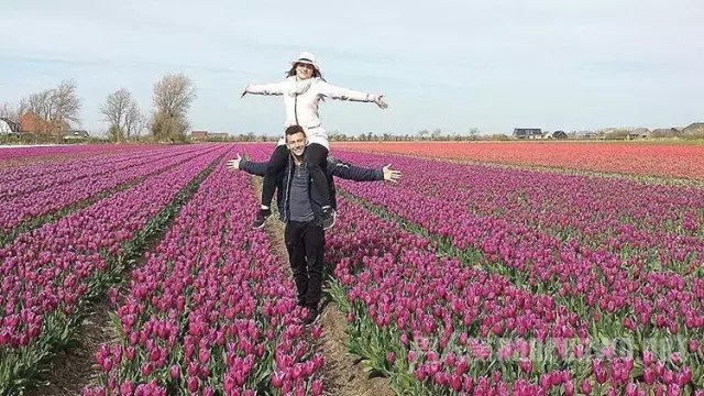 旅游