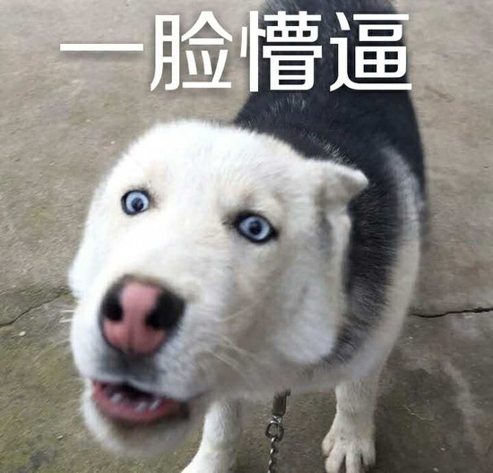 ߴ