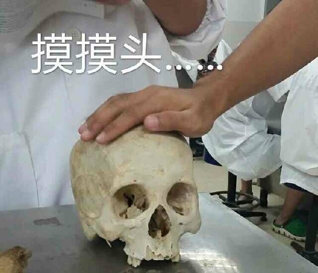 ߴ
