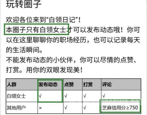 支付宝圈子上线