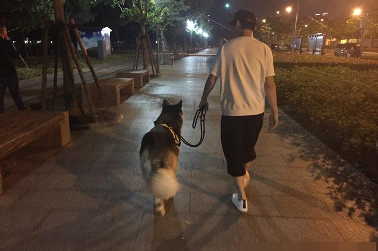 王思聪的狗