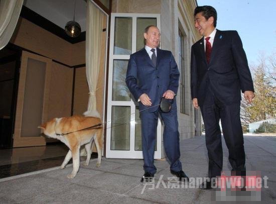 安倍的赠狗外交