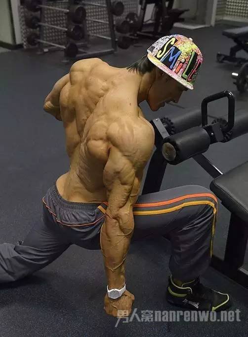 Helmut Strebl