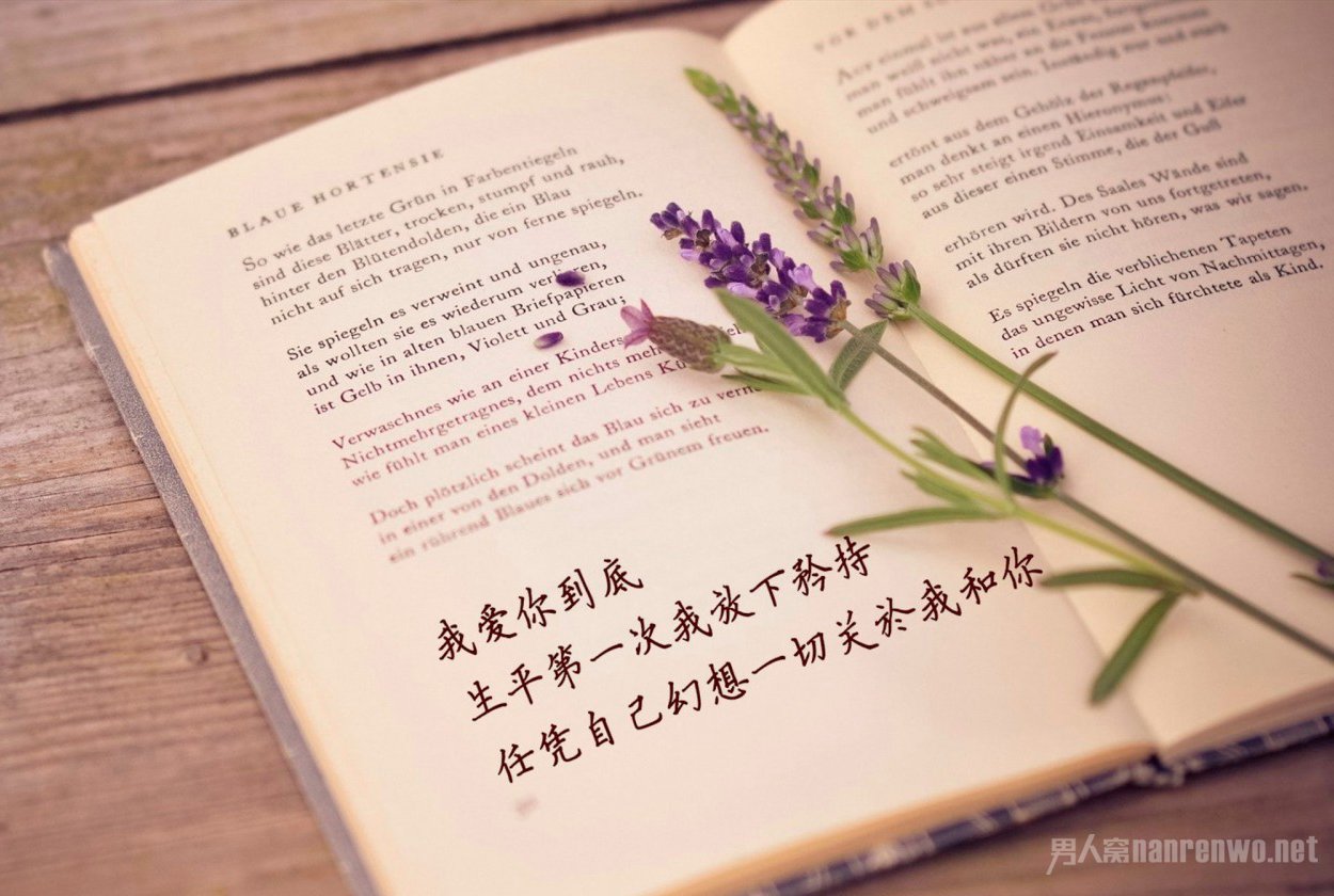 ˸黰˵˵