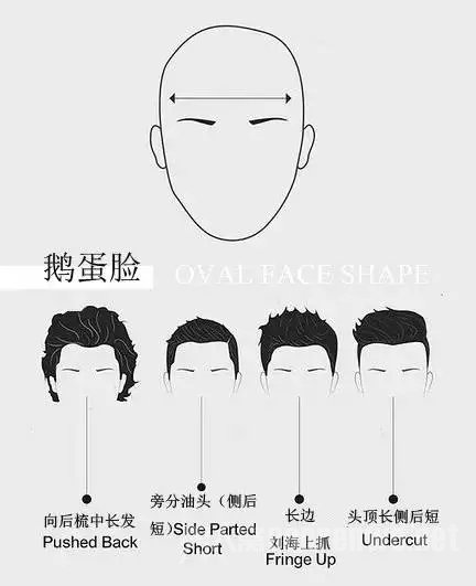 鹅蛋脸