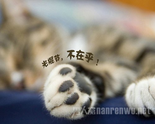 单身狗