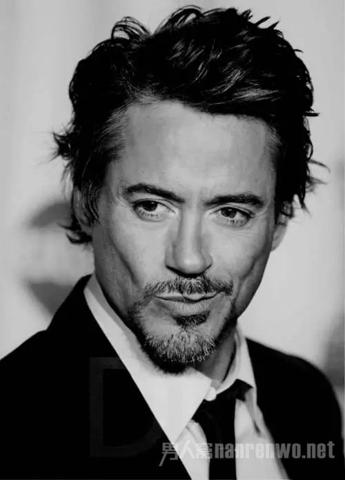 Robert Downey Jr