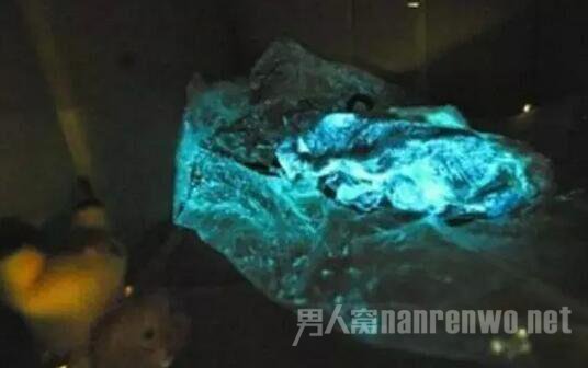 猪肉夜间发光