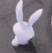 ߴ