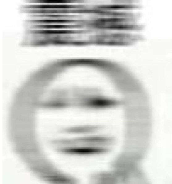 ߴ