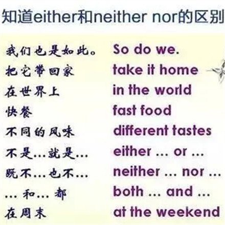 知道either和either nor的区别