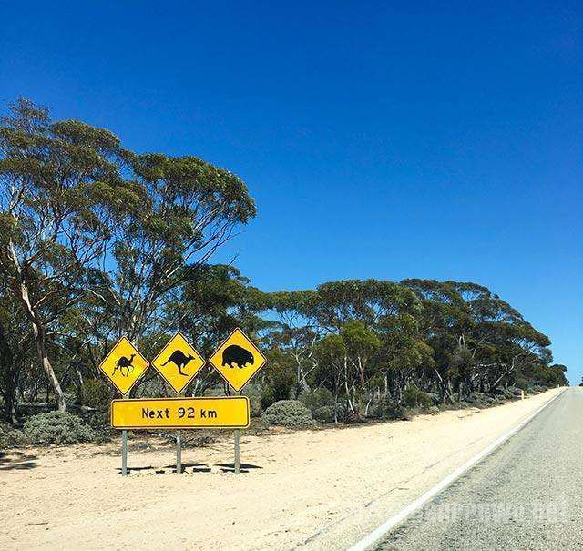 ������·