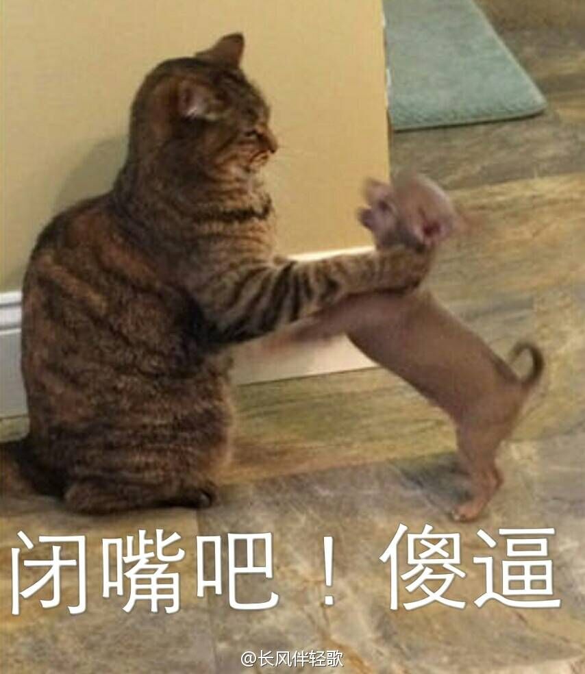 ߴ