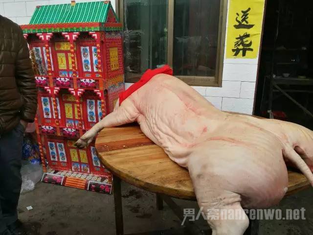 女儿为老人买好祭猪