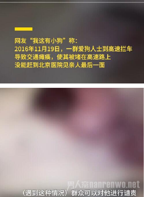 网友称是报复