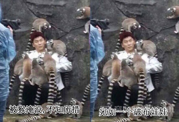 李晨被猴淹没