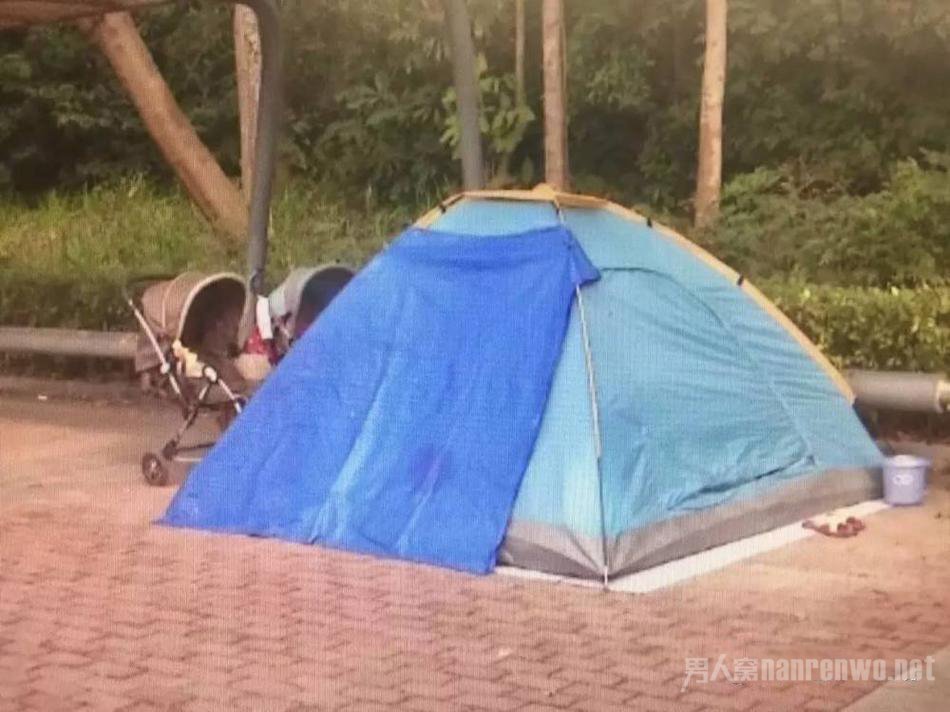 高学历夫妻住帐篷