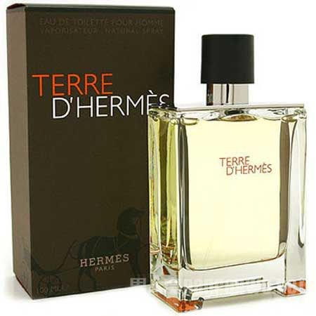 Terre dHermes Hermes
