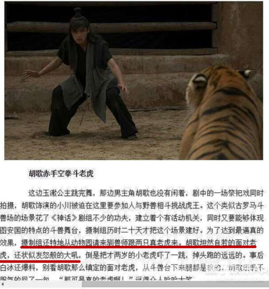 胡歌与老虎