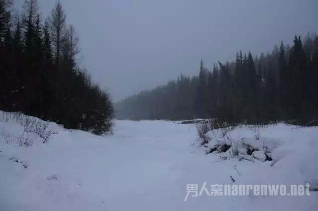 茫茫雪地