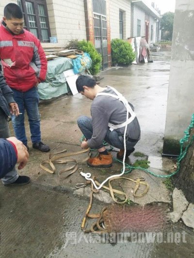 志愿者救援小猫