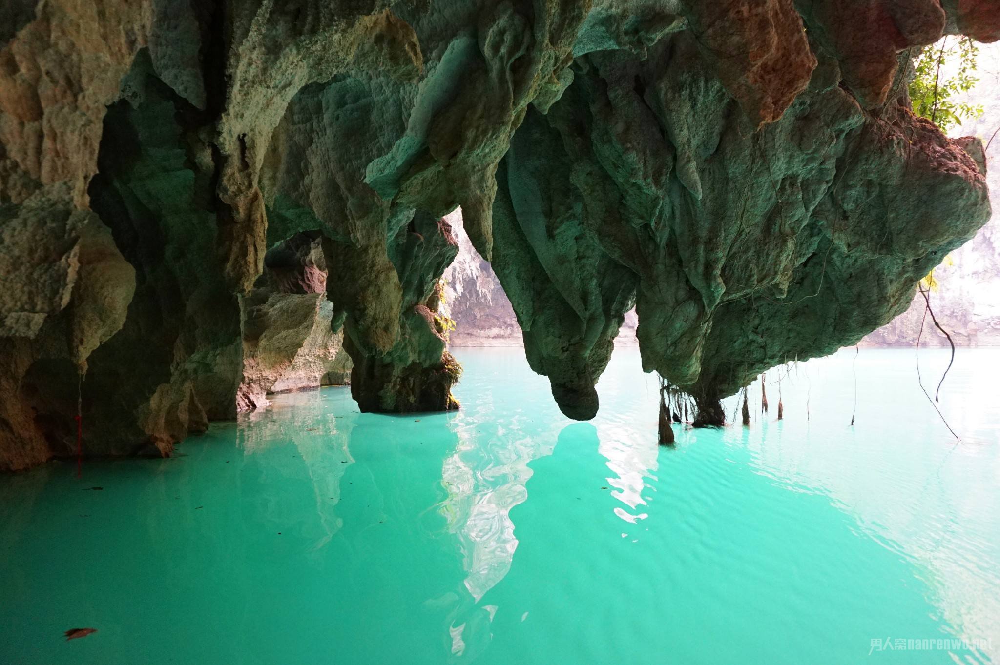 ���� ��ɽ