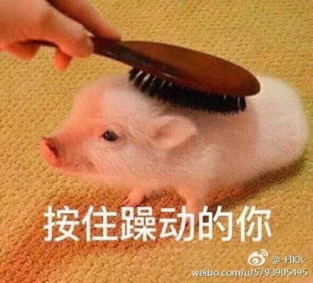 ߴ