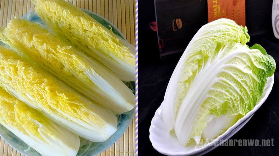 菜