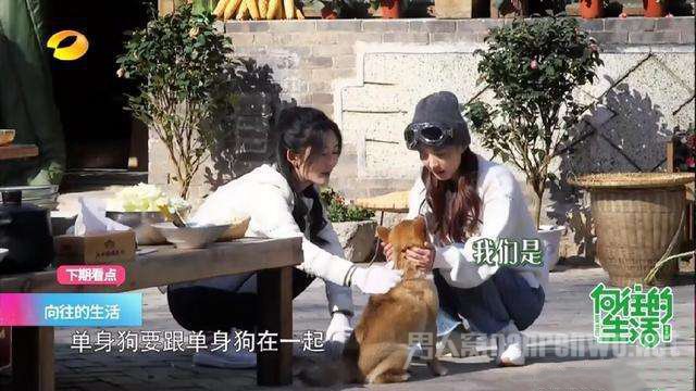 赵丽颖放飞自我