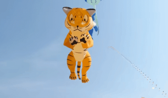 ϻ