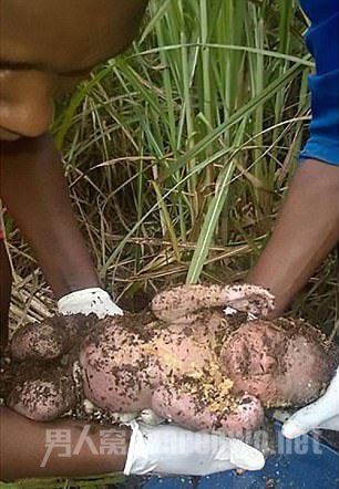 ����Ӥ��