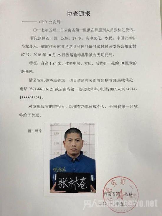 追捕逃犯