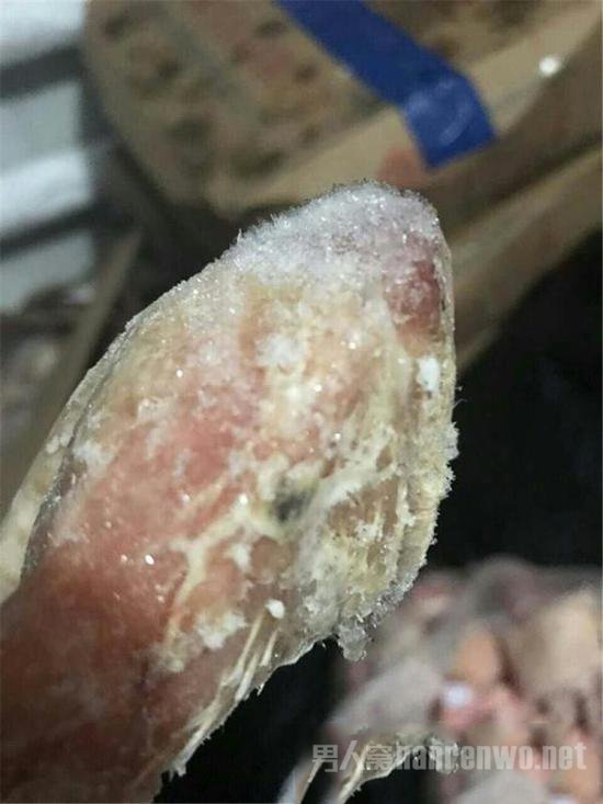 发霉鸡腿